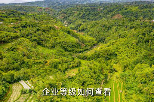 如何查企業(yè)信譽(yù)等級(jí)，怎么查企業(yè)信用