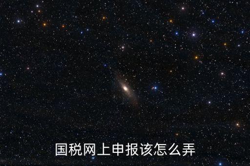 國稅新系統(tǒng)如何申報，國稅網(wǎng)上申報該怎么弄