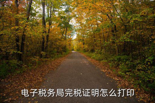 福建省網(wǎng)上稅務(wù)局如何打印，電子稅務(wù)局完稅證明怎么打印