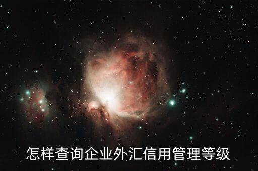 如何查詢企業(yè)信用等級，怎樣查詢企業(yè)外匯信用管理等級