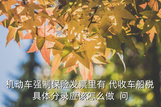 代收車船費如何記賬，機動車強制保險發(fā)票里有 代收車船稅具體分錄應(yīng)該怎么做  問