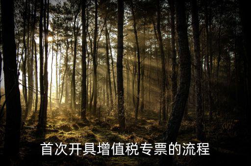 如何申請增值稅專票，怎么申辦專用發(fā)票