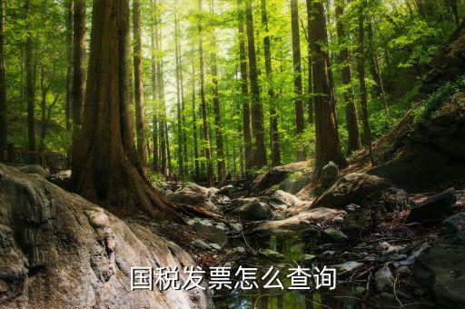 天津國稅發(fā)票如何查詢，國稅發(fā)票怎么查詢