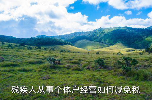 個稅申報 殘疾人如何減免，殘疾人從事個體戶經(jīng)營如何減免稅