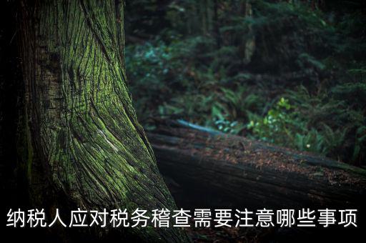 國稅稽查如何應(yīng)對(duì)聽證，怎么應(yīng)對(duì)稅務(wù)局的稅務(wù)稽查