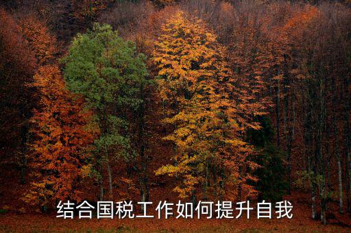 稅務(wù)人員如何提升自身素質(zhì)，怎樣做一個合格的稅務(wù)工作者