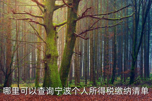 寧波個人納稅如何查詢，哪里可以查詢寧波個人所得稅繳納清單