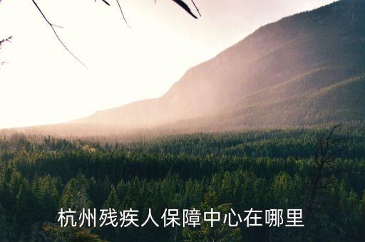 杭州市殘保證如何申請(qǐng)，杭州殘疾人保障中心在哪里