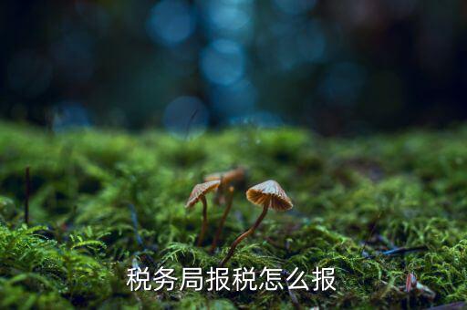 南通地稅如何申報(bào)，江蘇南通國(guó)家稅務(wù)局通用機(jī)打發(fā)票CIMS中沒(méi)有該用戶(hù)的申請(qǐng)或?qū)徟?/></a></span><span id=