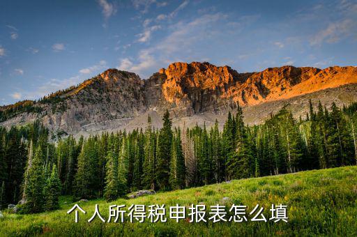四川個(gè)稅申報(bào)表如何填寫(xiě)，個(gè)稅申報(bào)表怎么填
