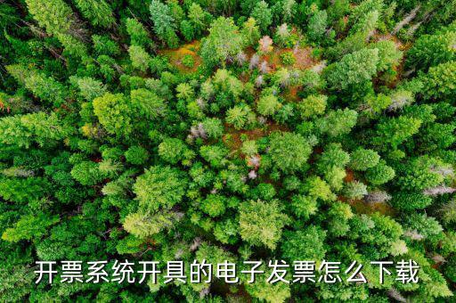 稅友的電子發(fā)票如何下載，開(kāi)票系統(tǒng)開(kāi)具的電子發(fā)票怎么下載
