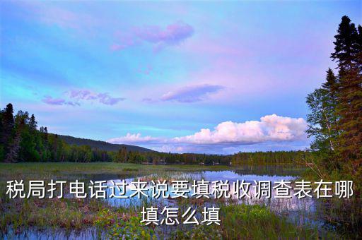 涉稅事項調(diào)查表如何填寫，09全國稅收調(diào)查表如何填寫