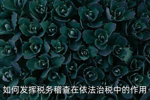 稽查部門如何優(yōu)化稅收營(yíng)商環(huán)境，如何充分發(fā)揮稽查職能作用更好服務(wù)于全省稅收征管工作發(fā)展大局