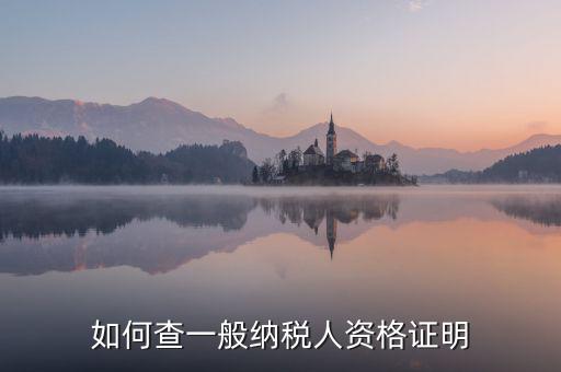 如何查一般納稅人資格，如何查一般納稅人資格證明