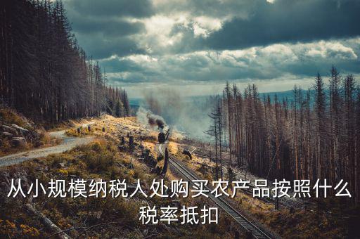 小規(guī)模納稅人 農(nóng)產(chǎn)品如何開票適用稅率，小規(guī)模納稅人銷售農(nóng)產(chǎn)品開什么發(fā)票