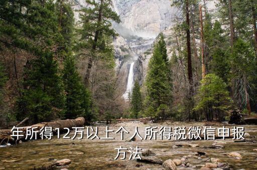 江蘇12萬(wàn)元申報(bào)如何登錄申請(qǐng)，江蘇12萬(wàn)元個(gè)人所得稅怎么申報(bào)