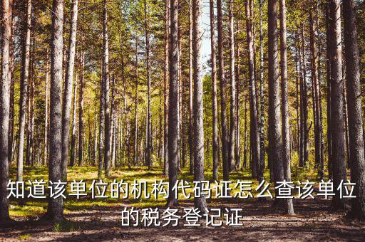 如何查企業(yè)稅務(wù)局登記，公司的稅務(wù)登記證號怎么查詢