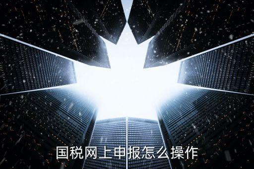福建省國稅所得稅如何登入申報，福建省國稅申報相關(guān)問題