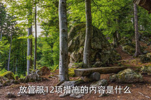 在放管服中如何加強(qiáng)審計(jì)稽察，放管服12項(xiàng)措施的內(nèi)容是什么
