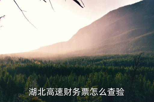湖北地區(qū)如何網上查詢發(fā)票真?zhèn)?，湖北省通用定額發(fā)票查詢真?zhèn)尾樵?/></a></span><span id=