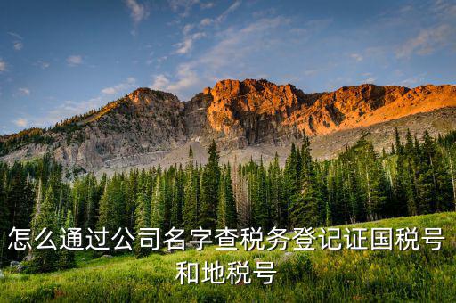 公司國(guó)稅編號(hào)如何查詢，公司的稅務(wù)登記證號(hào)怎么查詢