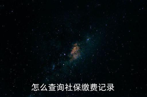 如何在地稅網(wǎng)繳納社保查詢，單位交了社保費在地稅網(wǎng)怎么查詢
