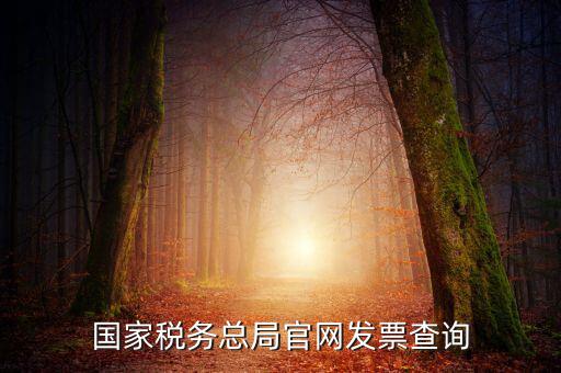 江蘇國稅如何查詢發(fā)票，江蘇發(fā)票真?zhèn)尾樵內(nèi)绾尾樵兘K發(fā)票真?zhèn)尾樵內(nèi)绾尾樵冏钪匾氖沁M