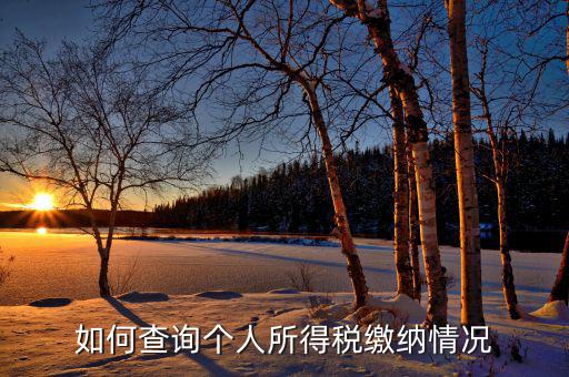 如何查詢(xún)自己交稅情況，個(gè)人繳稅記錄怎么查詢(xún)