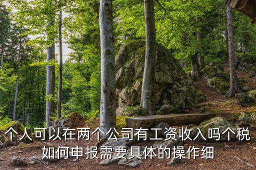 個(gè)稅如何申報(bào)多個(gè)企業(yè)所得稅，怎樣在一臺(tái)電腦上實(shí)現(xiàn)給多個(gè)企業(yè)申報(bào)個(gè)人所得稅
