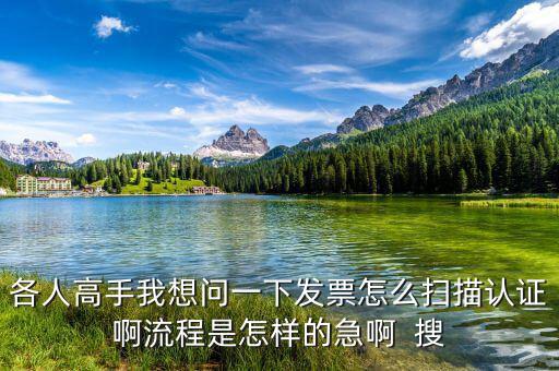 如何掃描認(rèn)證發(fā)票，各人高手我想問(wèn)一下發(fā)票怎么掃描認(rèn)證啊流程是怎樣的急啊  搜