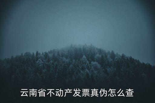 不動(dòng)產(chǎn)統(tǒng)一發(fā)票如何查詢(xún)真?zhèn)?，銷(xiāo)售不動(dòng)產(chǎn)統(tǒng)一發(fā)票真假怎么辨別