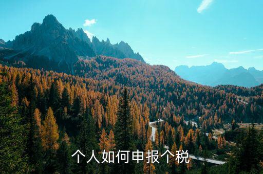 納稅人如何自己申報個稅，個人所得稅是怎樣申報的