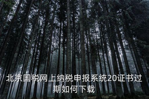 北京國稅網(wǎng)站如何更新，如何在國稅網(wǎng)上更新公司的信息