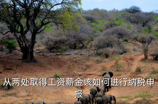 多出取得工資 如何申報個稅，個人多處取得所得如何申報繳納個稅