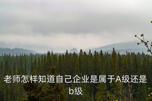 企業(yè)級別如何查，企業(yè)資質等級怎樣查