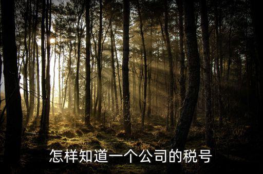 單位稅號如何查詢，知道公司名字怎么查稅號嗎