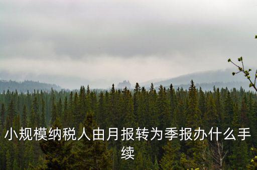 小規(guī)模附加稅如何改成按季申報，小規(guī)模納稅人增值稅按月申報可以改為按季度申報嗎
