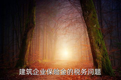 保險公司稅務管理如何處理，建筑企業(yè)保險金的稅務問題