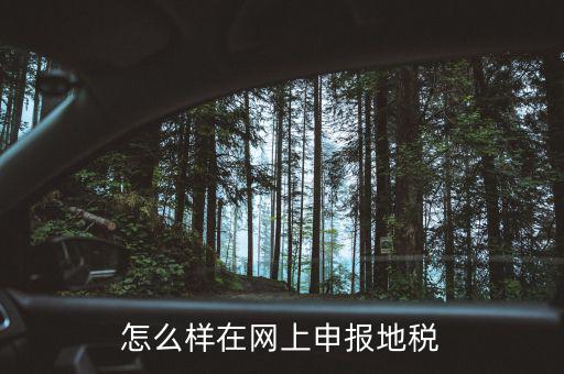 地稅網(wǎng)站如何注冊，地稅網(wǎng)上申報注冊怎么操作
