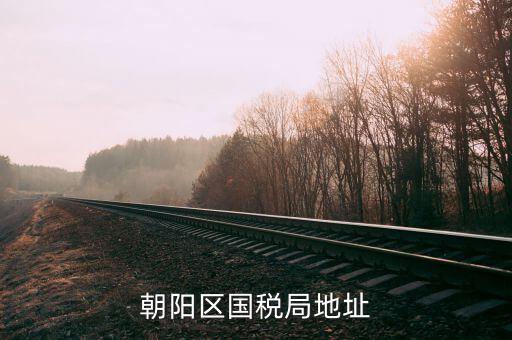 如何查詢所屬朝陽區(qū)哪家稅局，如何查詢自己所屬北京市朝陽區(qū)哪家稅務(wù)所