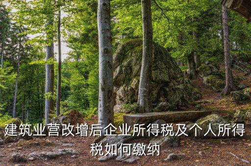 營改增后企業(yè)所得稅如何繳納，營改增后施工企業(yè)所得稅怎樣繳