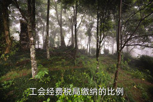 稅局代收的工會(huì)經(jīng)費(fèi)應(yīng)如何交納，稅務(wù)局代收的工會(huì)經(jīng)費(fèi)怎么交