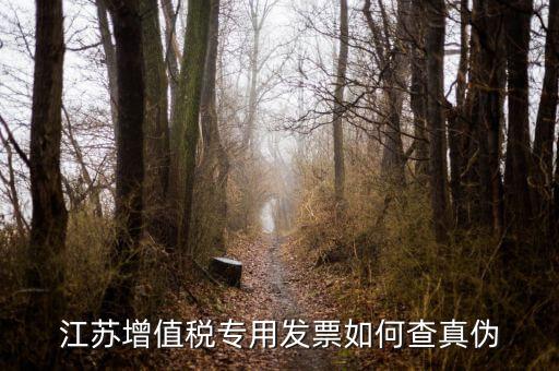 江蘇國稅電子發(fā)票如何查驗真?zhèn)?，江蘇增值稅專用發(fā)票如何查真?zhèn)?/></a></span><span id=