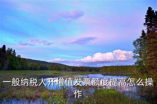 如何提高開票限額申請，一般納稅人開增值發(fā)票額度提高怎么操作