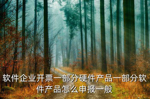 軟件企業(yè)如何報稅，軟件企業(yè)開票一部分硬件產(chǎn)品一部分軟件產(chǎn)品怎么申報一般