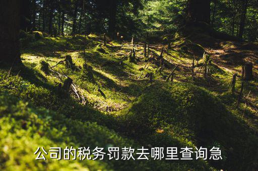 如何查稅收違法記錄，公司的稅務(wù)罰款去哪里查詢急
