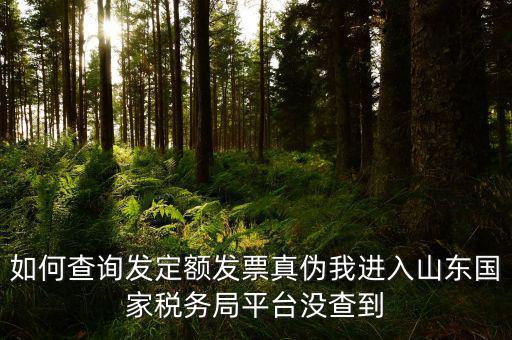 公交卡定額發(fā)票如何查詢真?zhèn)?，如何查詢發(fā)定額發(fā)票真?zhèn)挝疫M(jìn)入山東國家稅務(wù)局平臺(tái)沒查到