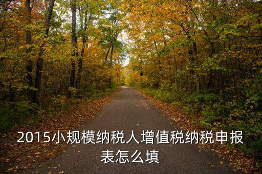 小規(guī)模納稅人國(guó)稅申報(bào)表如何填，小規(guī)模納稅人的報(bào)表怎么填