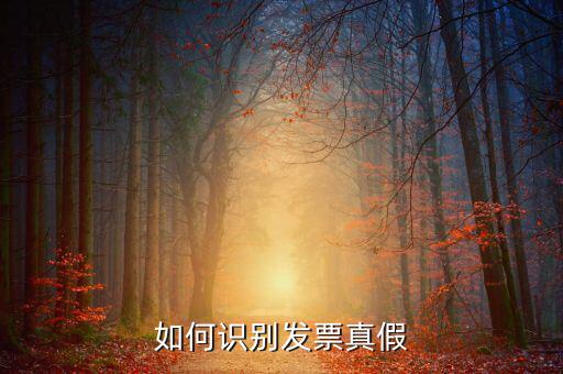 深圳國(guó)稅局發(fā)票如何查詢真?zhèn)尾樵?，如何在認(rèn)證前查驗(yàn)發(fā)票真?zhèn)?/></a></span><span id=