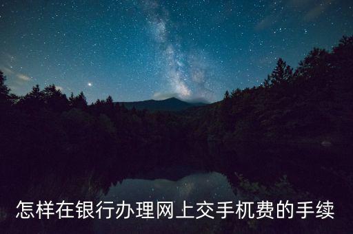 如何網(wǎng)上申請代扣代繳手續(xù)費，怎樣在銀行辦理網(wǎng)上交手杌費的手續(xù)